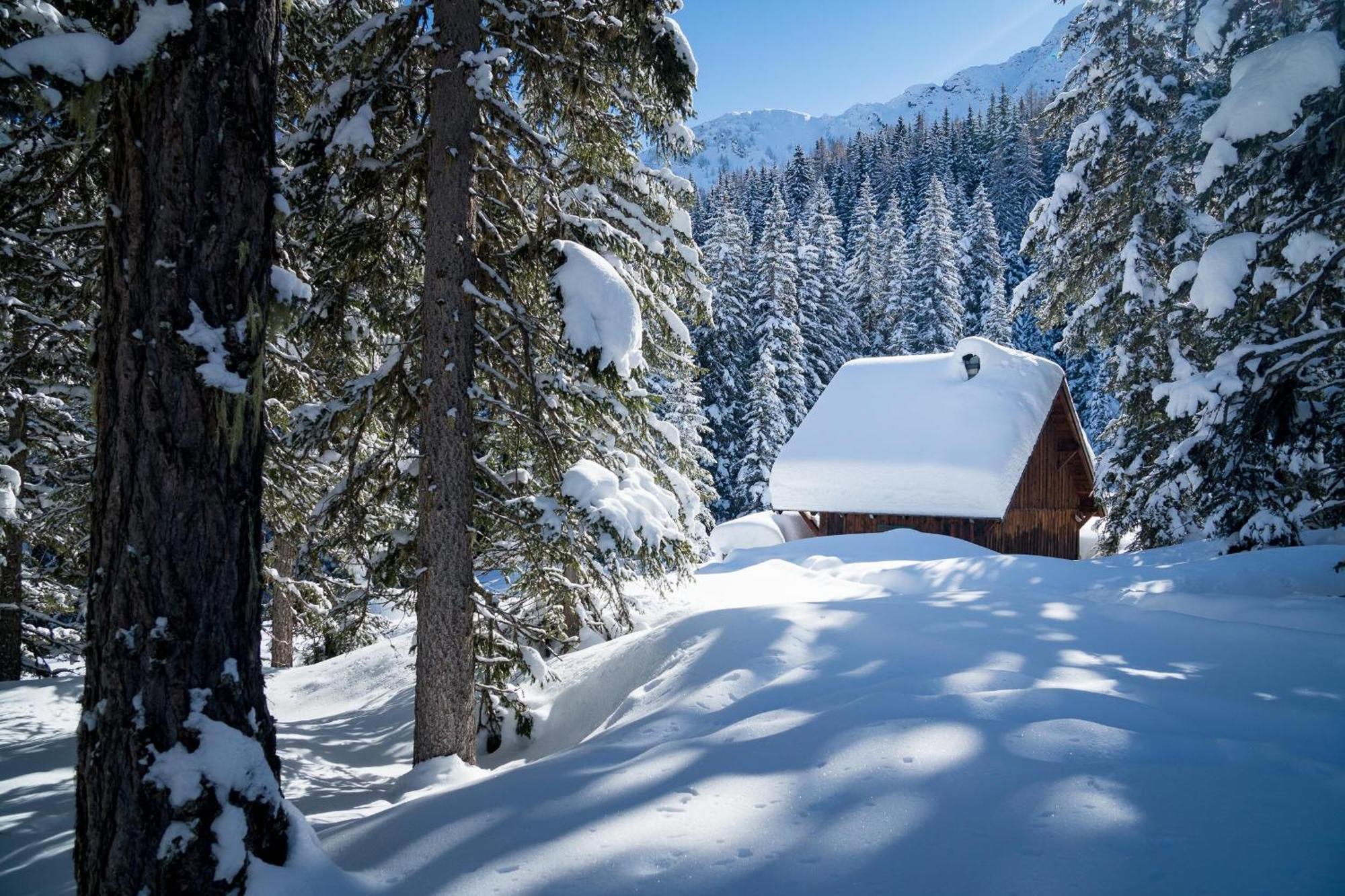 Landhaus Schwaiger บาดฮอฟกัสไตน์ ภายนอก รูปภาพ